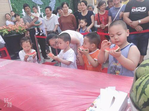 吃瓜群众奇葩娱乐节目,奇葩娱乐节目背后的疯狂世界